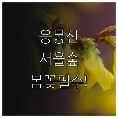 성동구 응봉산 개나리 축제와 서울숲 ..