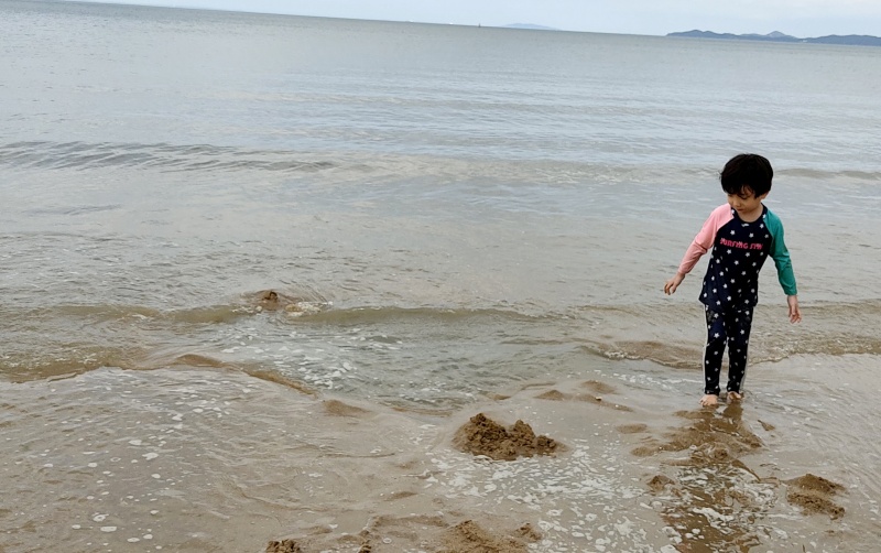 흔적도 안남은 수영장