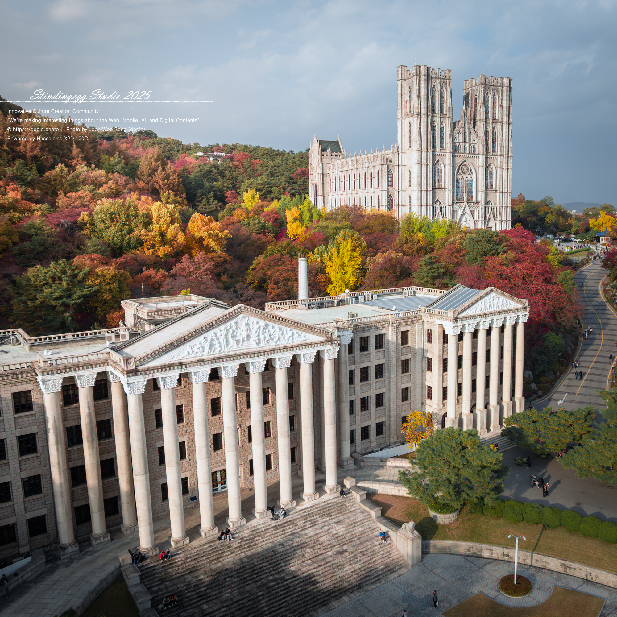 #서울 #경희대 #경희대학교 #단풍 #가을 #모교