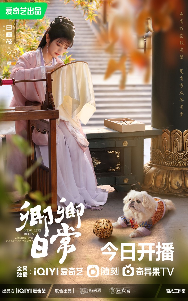 경경일상