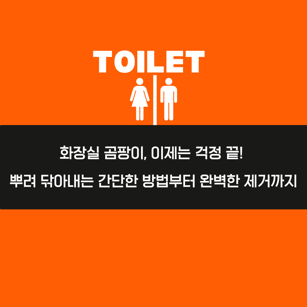 화장실 곰팡이, 이제는 걱정 끝! 뿌려 닦아내는 간단한 방법부터 완벽한 제거까지