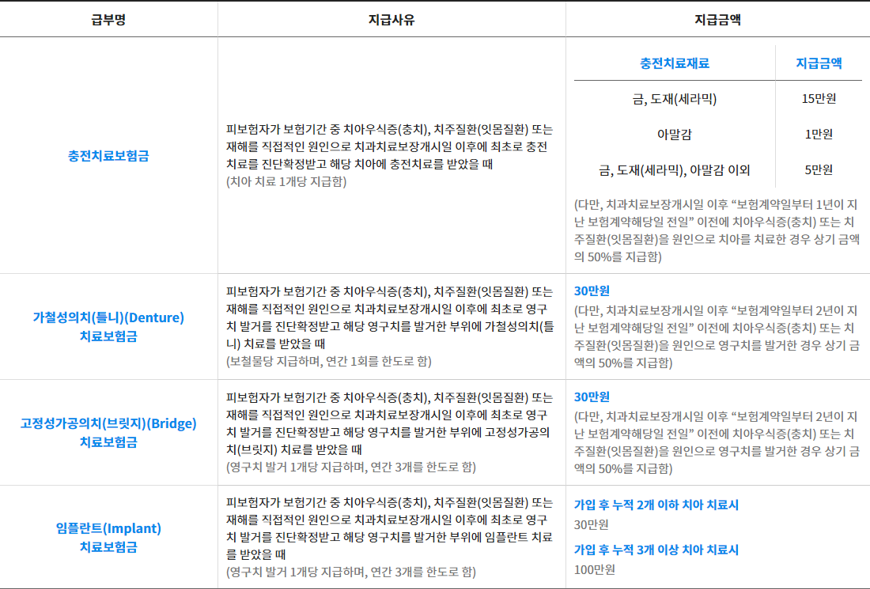 THE든든한 실버치아보험 주계약