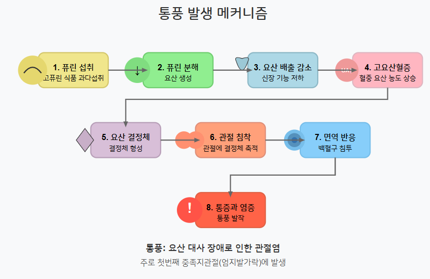 통풍 발생의 매커니즘