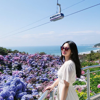 장생포 수국축제 최신 정보 6