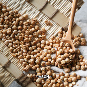 철분 많은 음식