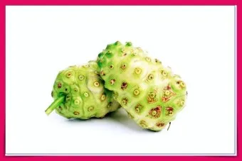 노니 효능 칼로리 섭취량_5