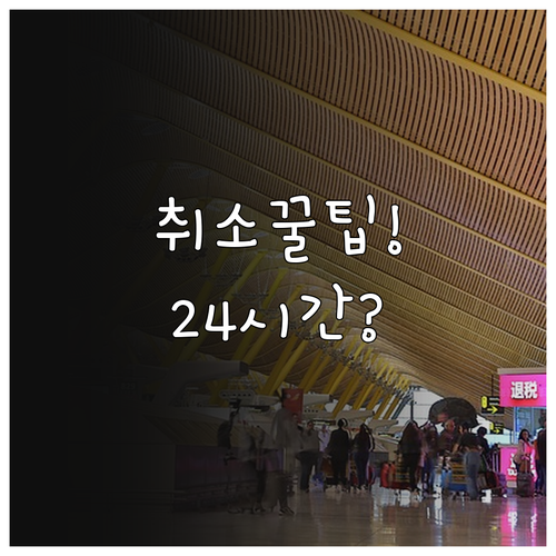 아에로멕시코 항공권 취소 수수료, 예..