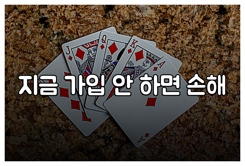 지금 가입 안 하면 손해