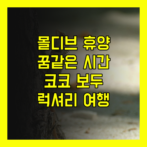 럭셔리 몰디브 휴양, 코코 보두 히티