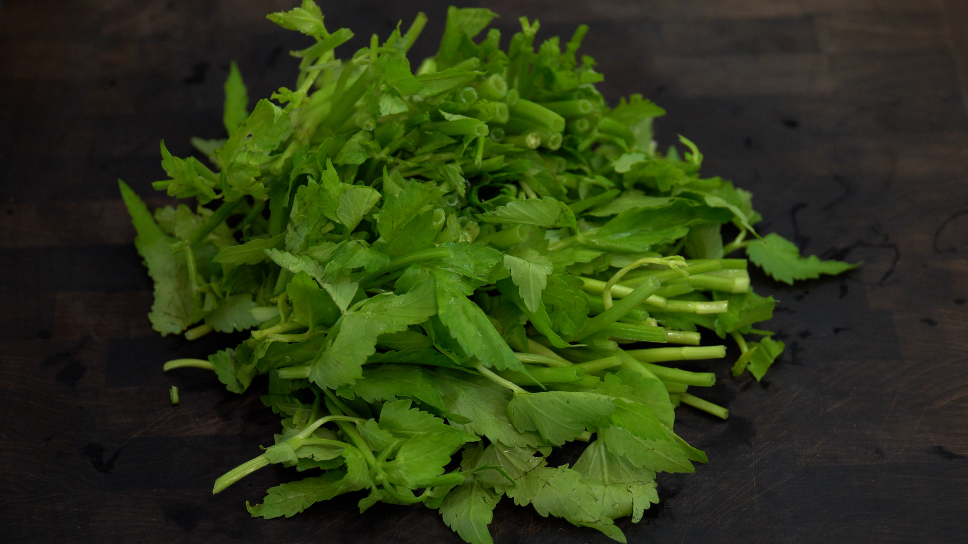 미나리 썰어주기