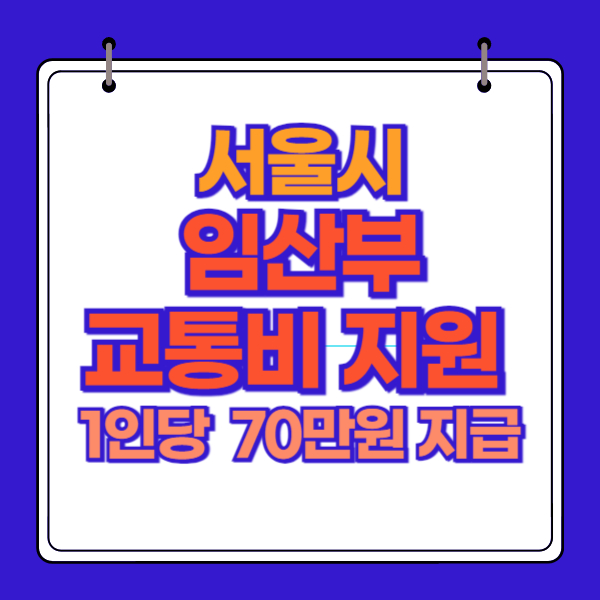 서울시 임산부 교통비 지원 70만원