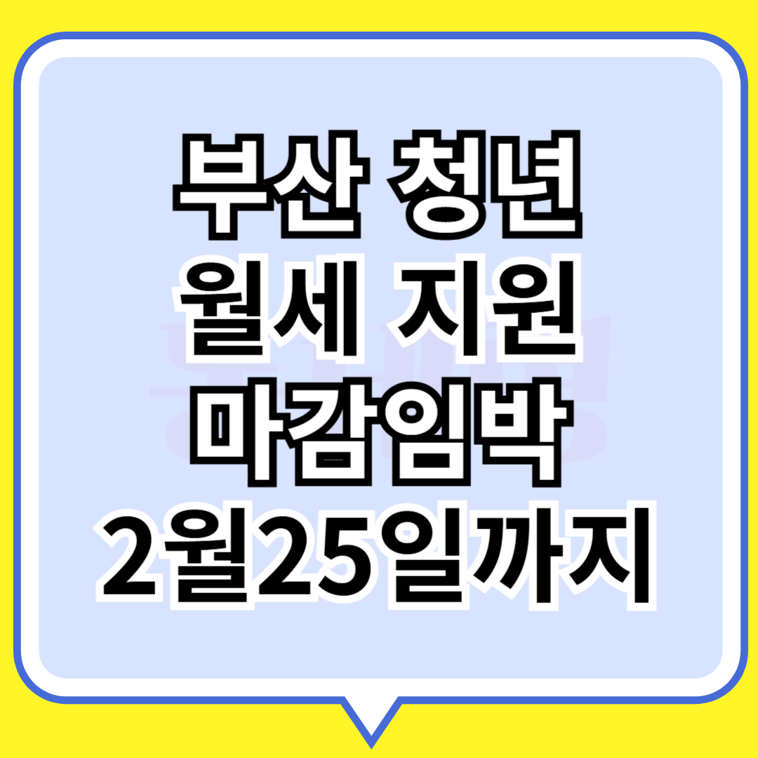 부산청년월세