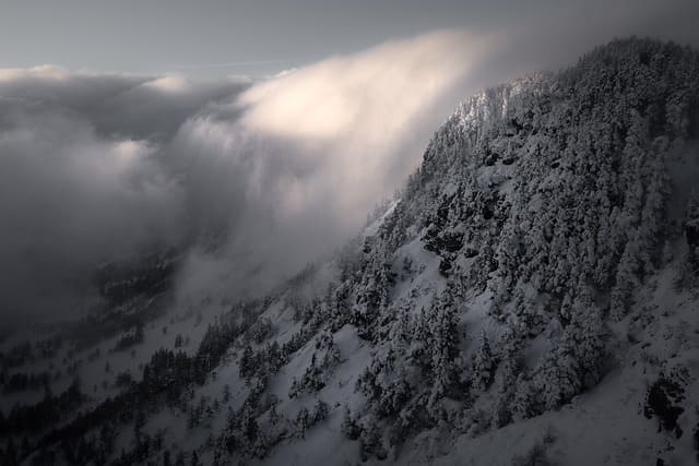 5인-미만-사업장