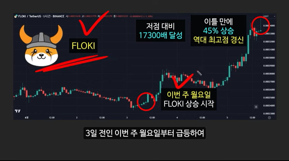 급등할 솔라나 밈코인 캣인어독스월드(MEW), 도지코인, 플로키, 벤도그, 마더, 그레이머, 워젝, 네버, 두코, 봉크