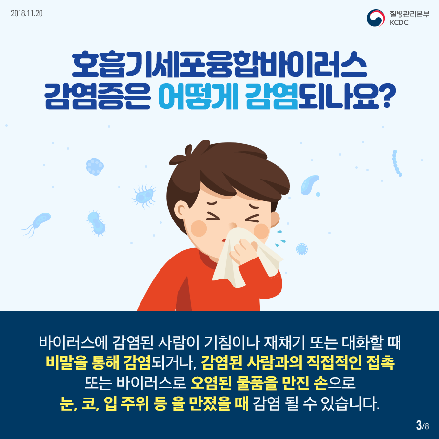 카드 뉴스