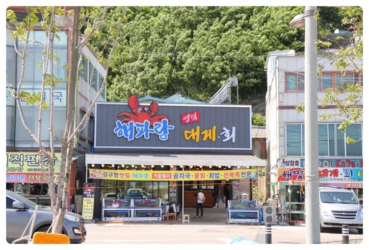 생방송투데이 키워드 다큐 성공인 경북 영덕 박달대게 대게 코스 전문점 맛집 해파랑대게 생방송투데이 3773회 