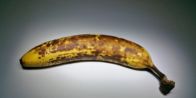 바나나 보관법