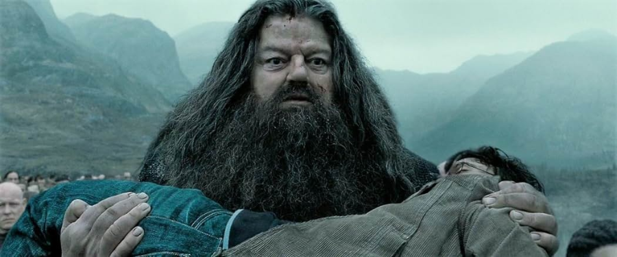 해리포터와 죽음의 성물 2편