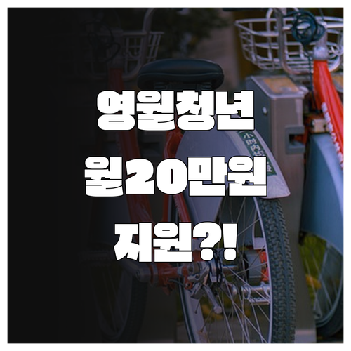 영월군 청년월세지원 대상 자격과 월 ..