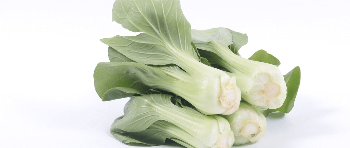 청경채 사진 - 14