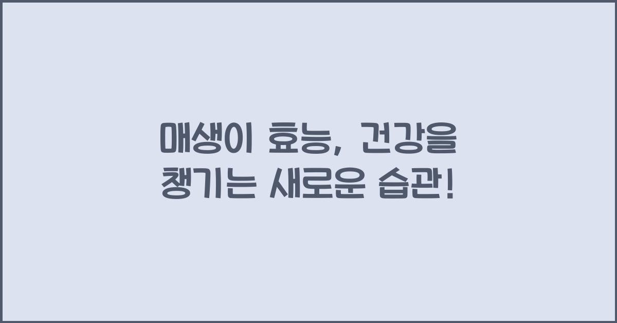 매생이 효능