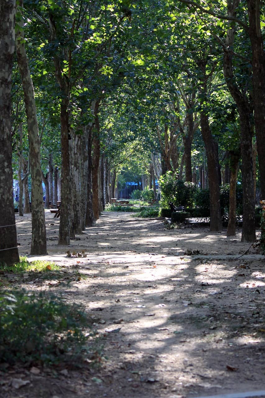 [디지털 미니멀리즘] 이메일수신함0개상태를매일유지하는초단순프로토콜의인지관리전략분석