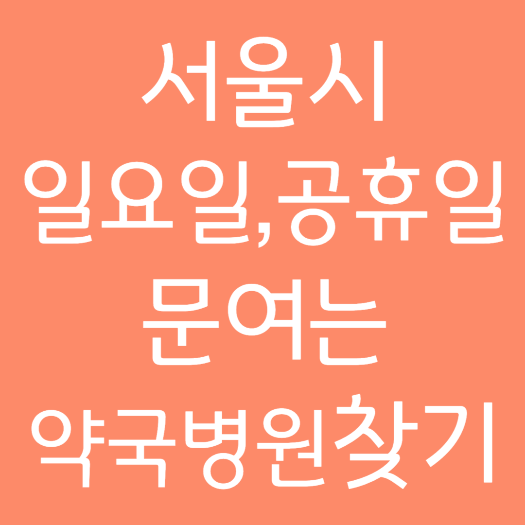 서울시 일요일 공휴일 문여는 병원 약국 찾기