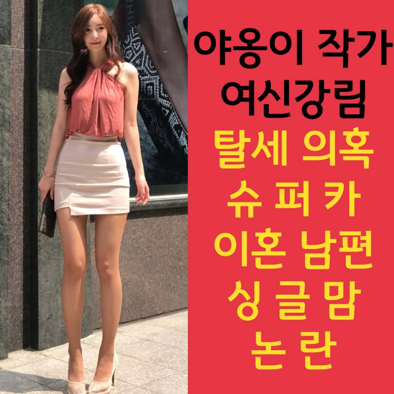 야옹이 작가 탈세