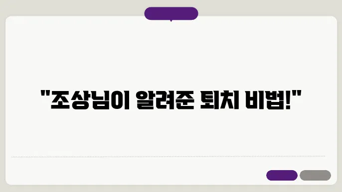 개미 퇴치법 및 바퀴벌레 퇴치법 알아보기