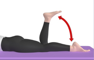 무릎관절염-하체운동