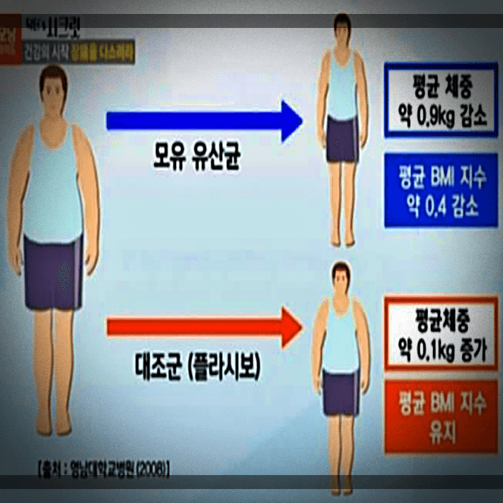 모유-유산균-대조군-정리