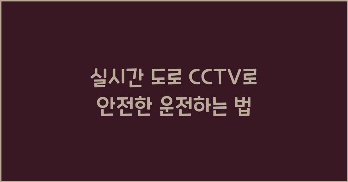 실시간 도로 cctv