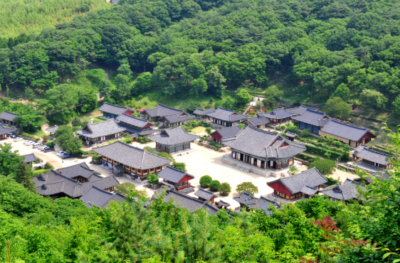 송광사