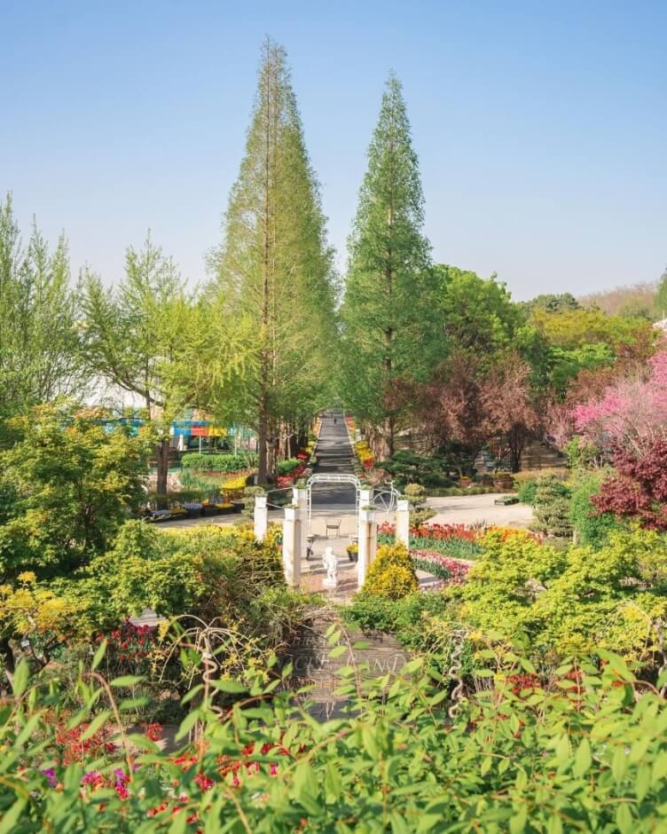 대전 세종 충청 5월 축제 일정