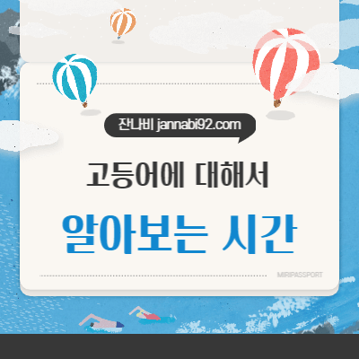 고등어에 대해서 알아보는 시간