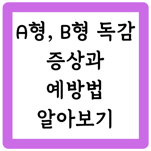 A형, B형 독감 증상과 예방법 알아보기