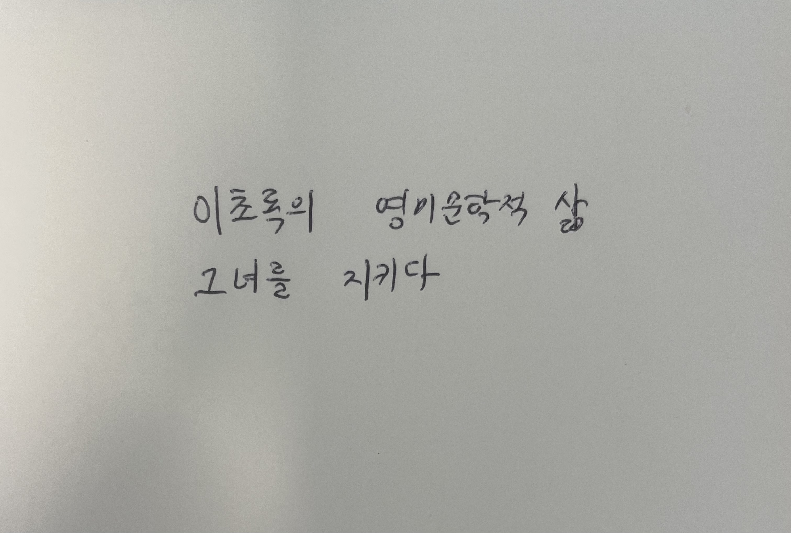 이초록의 영미문학적 삶- 그녀를 지키다 장 바티스트 앙드레아 손글씨