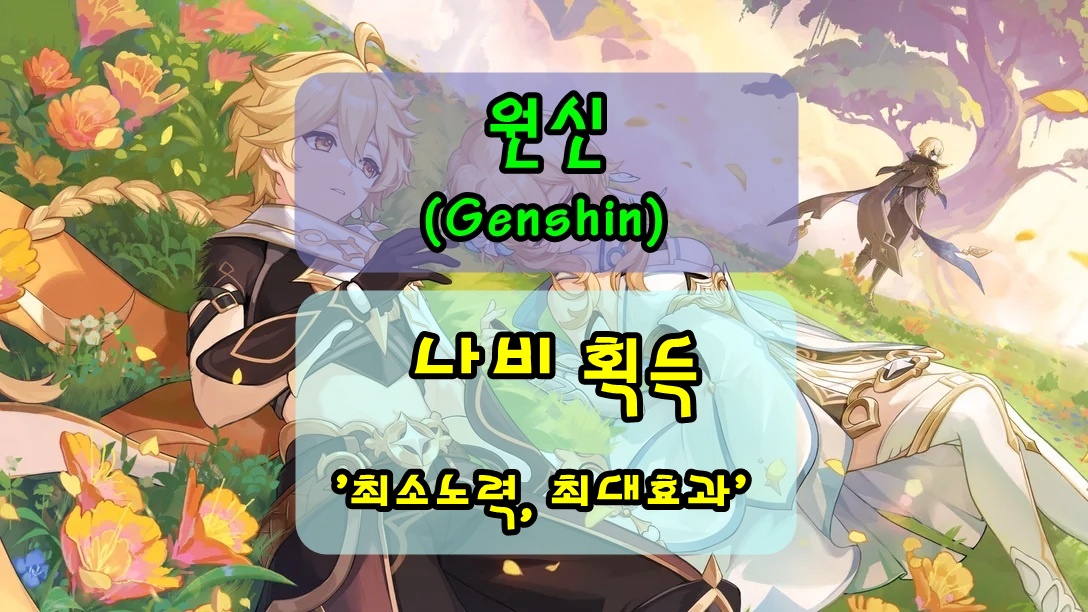 원신 아이템 파밍을 위한 수정나비 획득, 최소 노력으로 최대 효과를 볼 수 있는 포인트