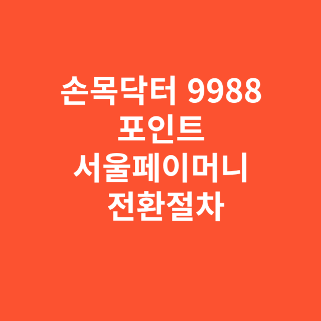 손목닥터 9988 포인트 서울페이머니 전환하는 정확한 절차