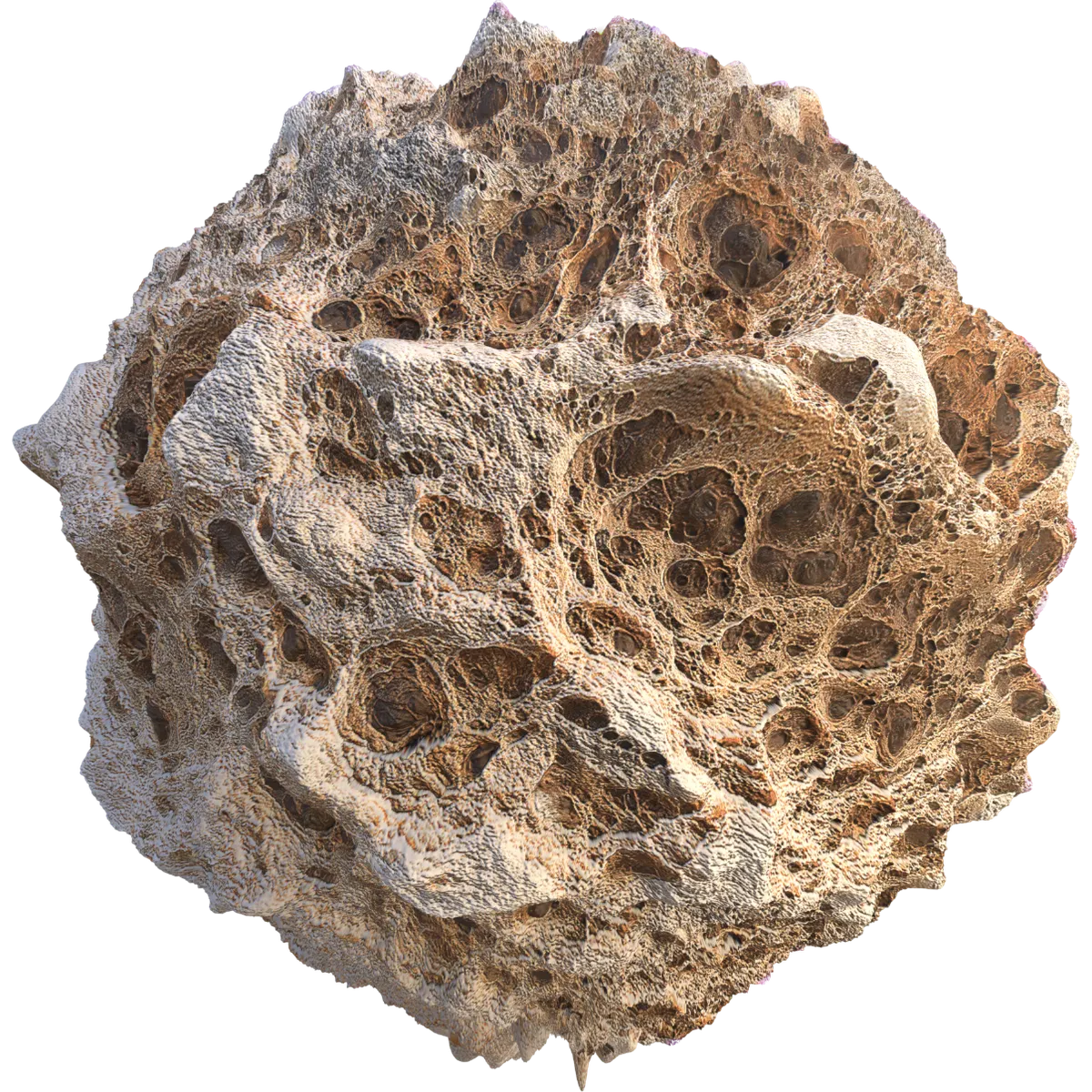 Bio Porous Surface texture