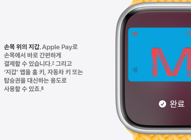 애플워치 애플페이