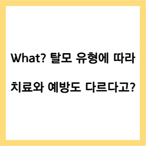 탈모유형