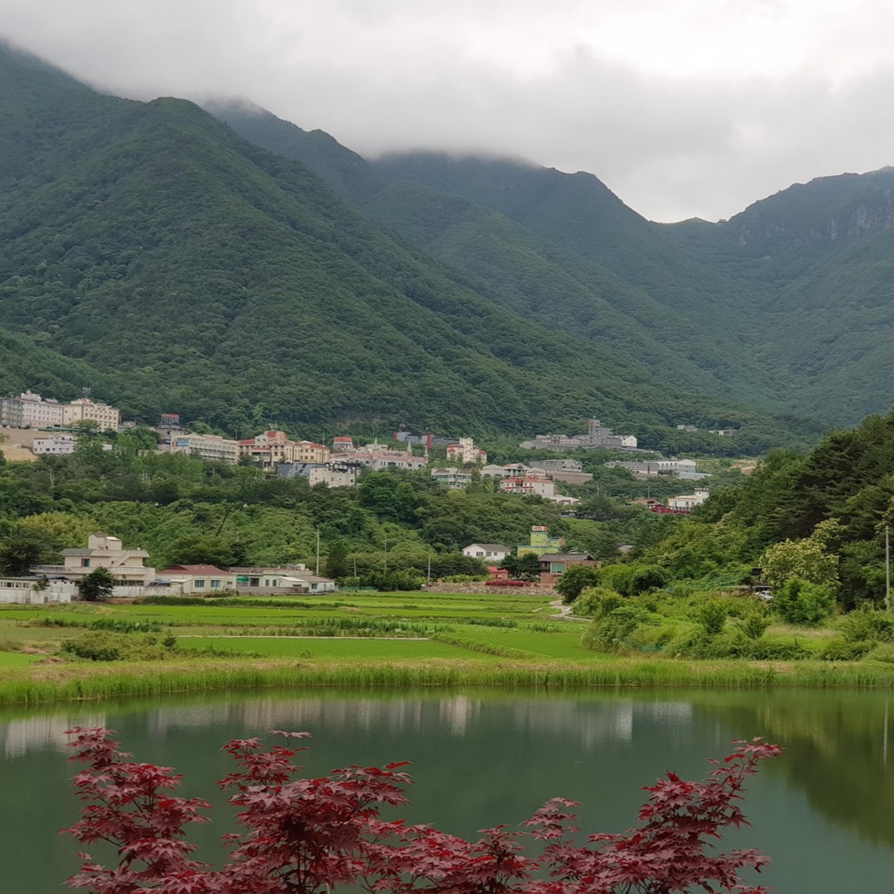 올여름 전국 맛집 투어