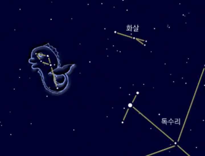 돌고래자리