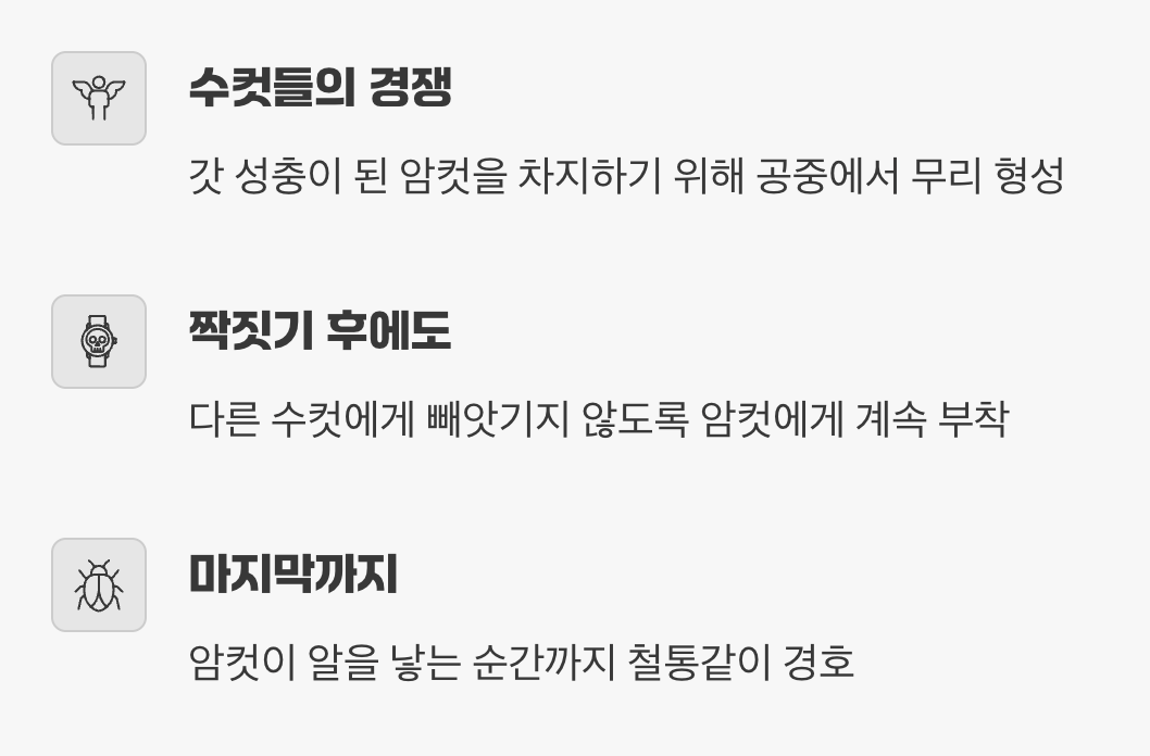 사랑의 비행? 사실은 치열한 생존 경쟁