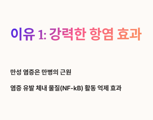 커큐민 효능 : 강력한 항염 효과