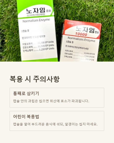 복용 시 주의사항