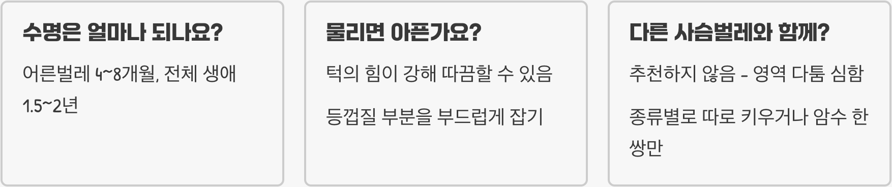 걍사슴벌레 키우기 방법부터 먹이, 사육장 세팅까지 완벽 가이드