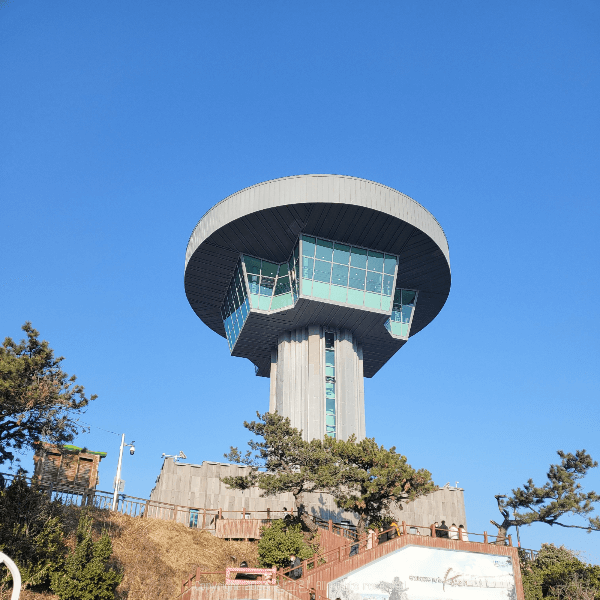 양남주상절리-전망대