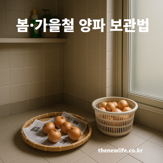 봄&middot;가을 양파 보관법 &ndash; 통풍되는 바구니와 채반에 양파를 겹치지 않게 보관